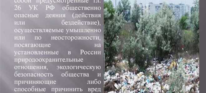 Неверно что субъектом экологического преступления может являться