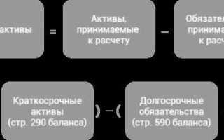 Чистые активы некоммерческой организации что это
