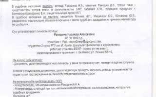 Как выглядит протокол судебного заседания