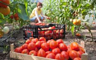 Что относится к продукции сельского хозяйства