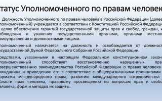 Чем занимается уполномоченный по правам человека