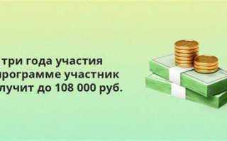 Что такое софинансирование в бюджете