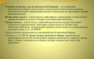 Техническая организация налоговая что это