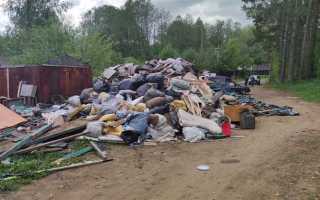 Как часто должны вывозить мусор