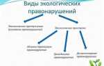 Какие виды экологических правоотношений принято выделять