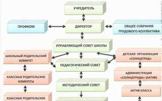 Как образовательная организация формирует свою структуру ответ на тест