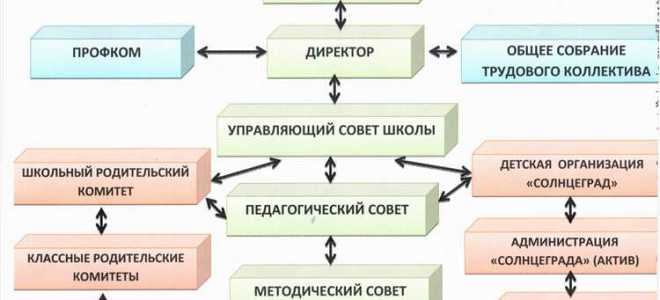 Как образовательная организация формирует свою структуру ответ на тест