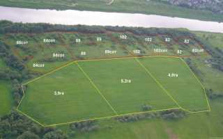 Что относится к землям лесного фонда