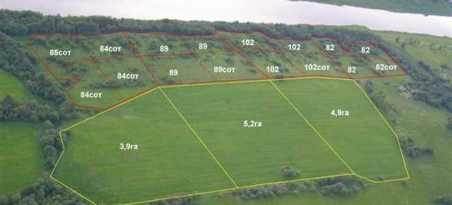 Что относится к землям лесного фонда