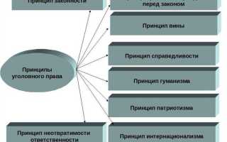 Универсальный принцип действия уголовного закона означает что