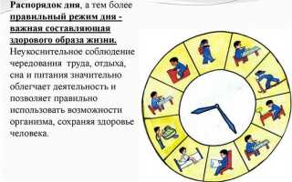 Кто устанавливает распорядок дня и регламент служебного времени