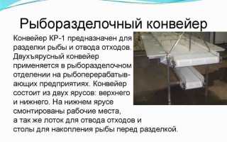 Производственный и хозяйственный инвентарь что к нему относится