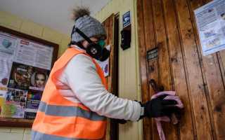 Кто отвечает за дезинсекцию в многоквартирном доме