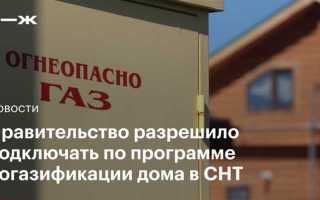 Главный в снт как называется