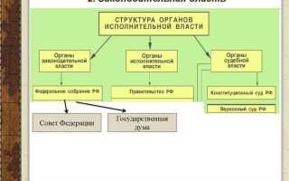 Сколько уровней открытости у федеральных органов исполнительной