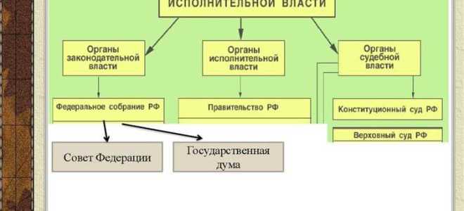 Сколько уровней открытости у федеральных органов исполнительной