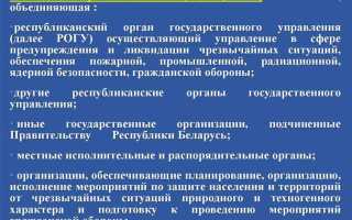 Каков порядок организации и функционирования го на объекте кратко