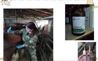 Какие мероприятия обязательно осуществляются перед допуском к проведению неотложных работ