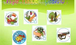 Почему обязанность сохранять природу зафиксирована в основном законе страны