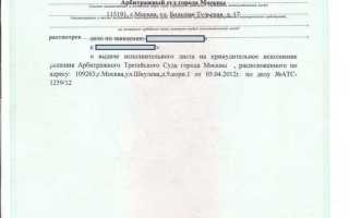 Как посмотреть по номеру исполнительного производства за что долг