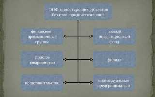 Фонд как организационно правовая форма