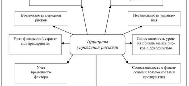 Что понимается под предпринимательским риском