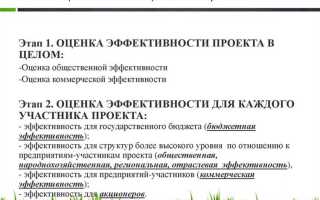 Какая основная цель инвестиционного проекта