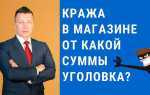 Мелкая кража до какой суммы