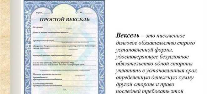 Какой орган регистрирует выпуск векселей