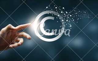 Как защитить авторские права в интернете