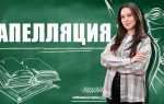 Апеллянт или апеллятор как правильно