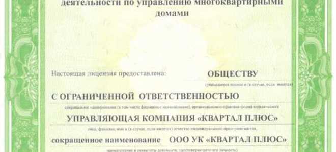Какие виды деятельности подлежат лицензированию