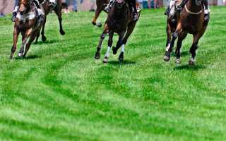 Что надо чтобы отменить конкурс ппс