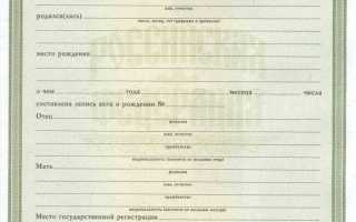 Кем выдано свидетельство о рождении где смотреть