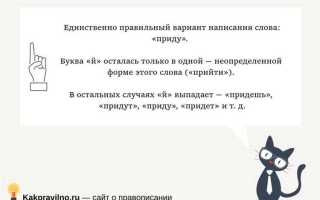 Присягу дают или принимают как правильно