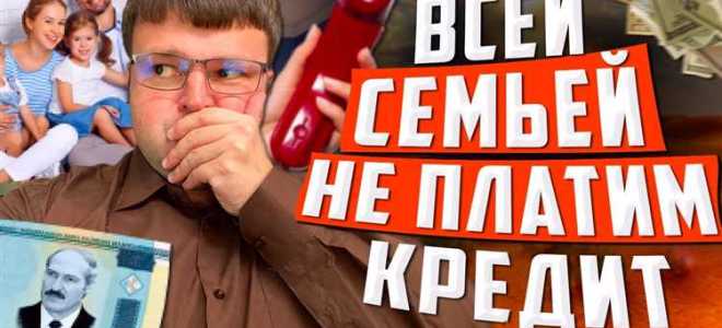 Как списать долги с господдержкой через мфц