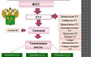 Таможенные органы как участники налоговых правоотношений