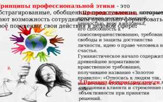 Что предусматривает принцип профессионализма заказчика