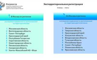 Какая площадь указывается в росреестре