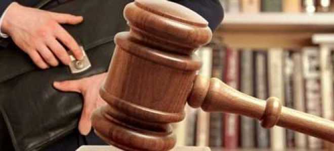 Со скольки лет можно стать адвокатом