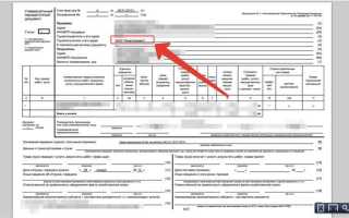 Ип без ндс что это