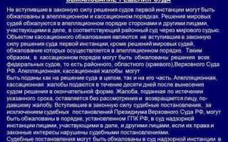Решение в упрощенном порядке когда вступает в силу