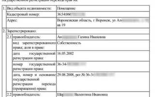 Как получить выписку из егрн в личном кабинете налогоплательщика