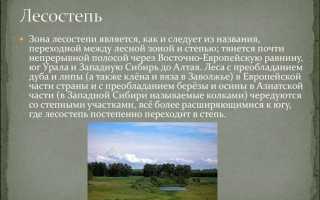 В какой лесорастительной зоне произрастают противоэрозионные леса