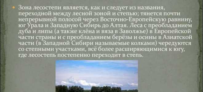 В какой лесорастительной зоне произрастают противоэрозионные леса