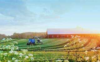 Как взять землю в аренду под сельское хозяйство