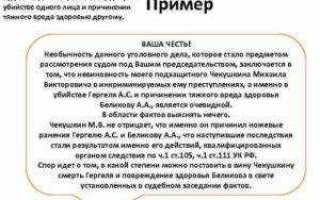 Защитная речь адвоката как правило включает в себя