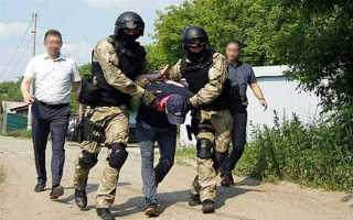 Кто занимается наркоконтролем в рф