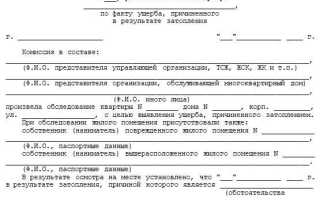 Как правильно составить акт осмотра помещения