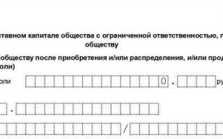 Как заполнить форму р13014 при распределении доли общества единственному участнику
